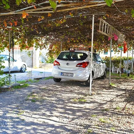 Vela * מאקרסקה