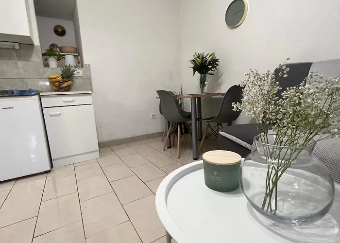 Vela * Μακάρσκα